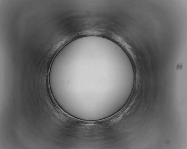 X0000091450153200708161054