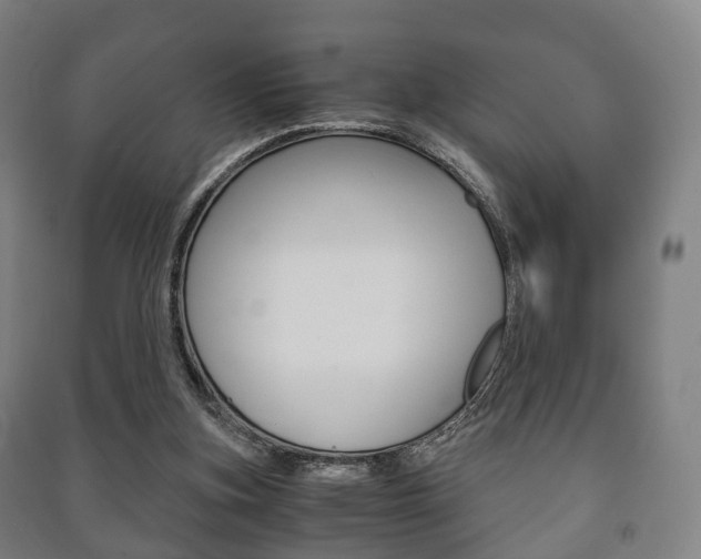 X0000091450155200708161054