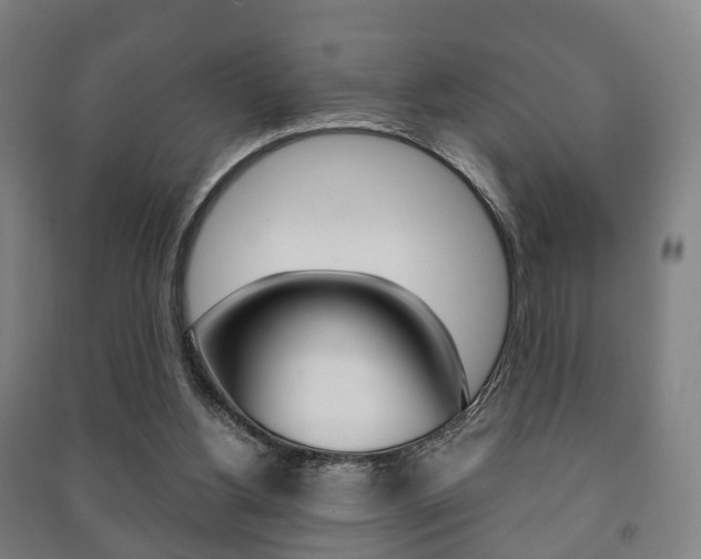X0000091450156200708161054