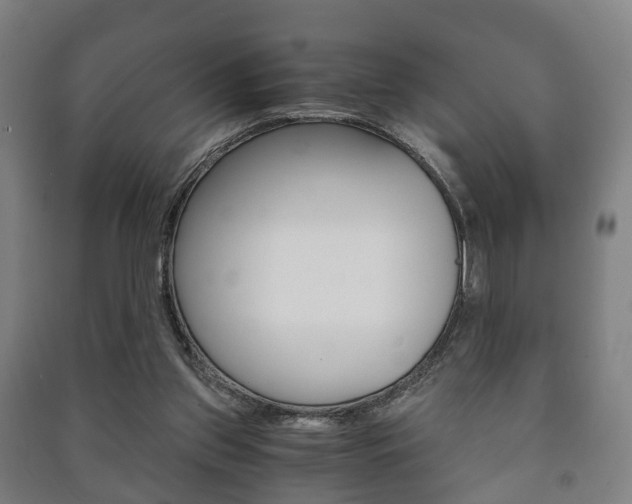 X0000091450157200708161054
