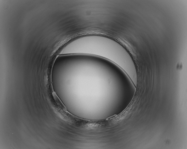 X0000091450158200708161054