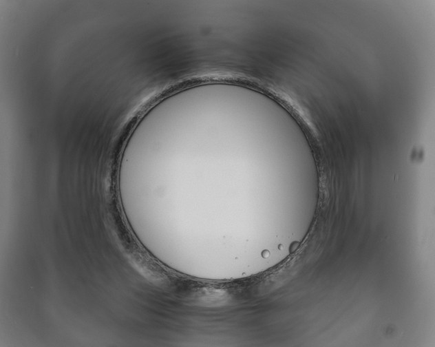 X0000091450159200708161054