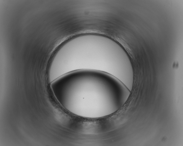 X0000091450160200708161054