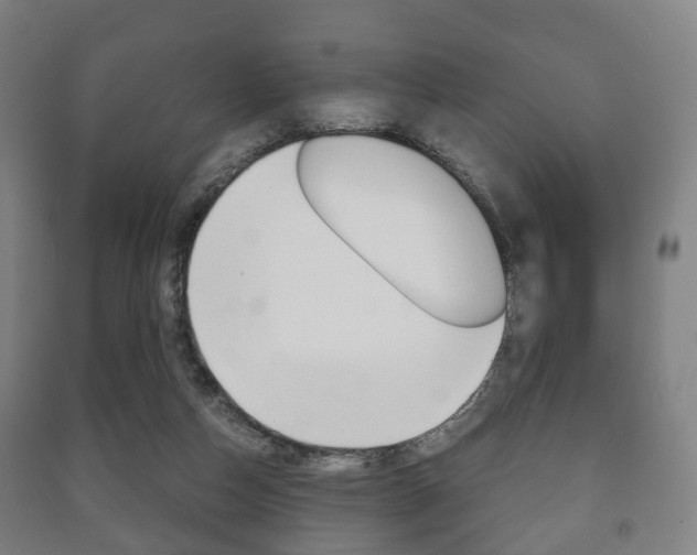 X0000091450162200708161054