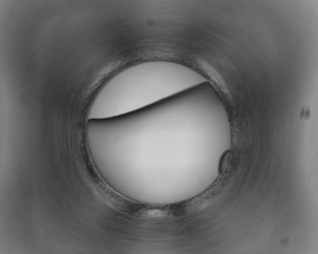X0000091450163200708161054