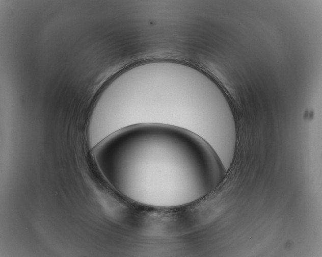 X0000091450164200708161054