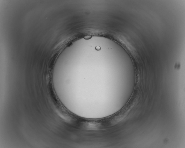 X0000091450165200708161054