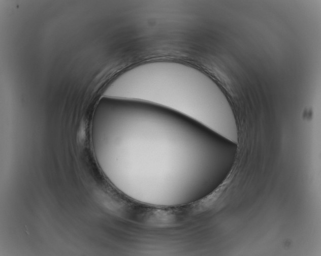X0000091450166200708161054