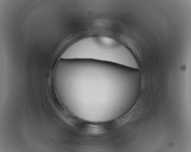 X0000091450167200708161054