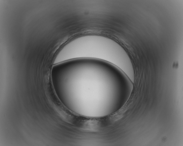 X0000091450168200708161054