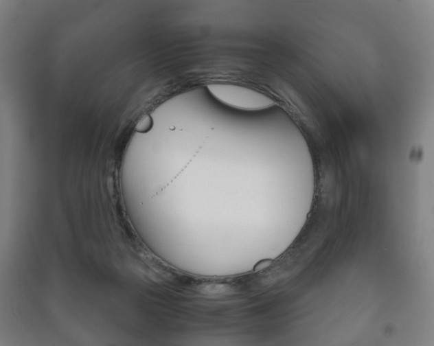 X0000091450169200708161054