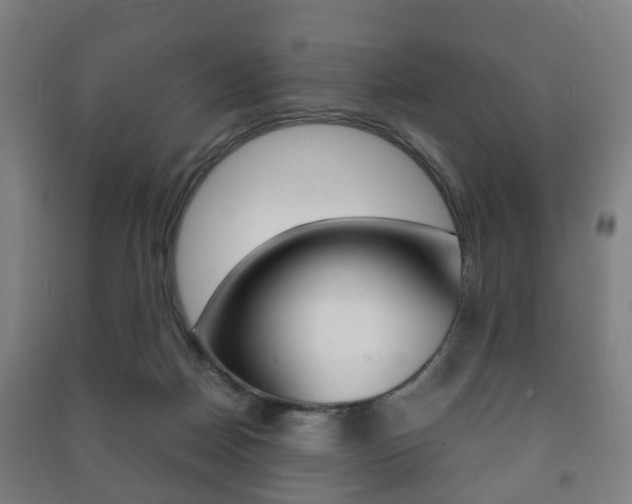 X0000091450170200708161054