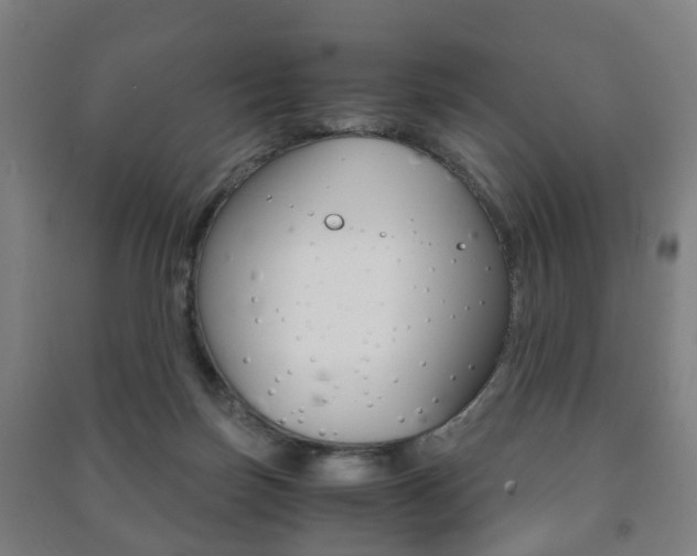 X0000091450171200708161054