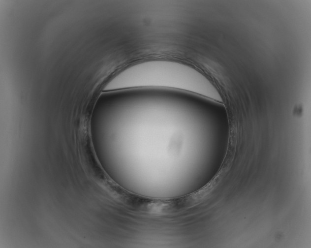 X0000091450172200708161054