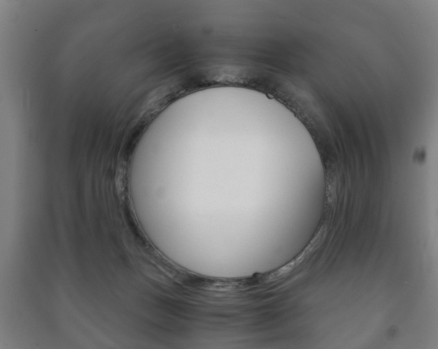 X0000091450175200708161054