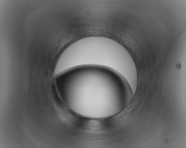 X0000091450176200708161054