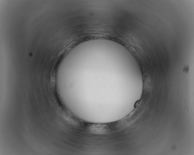X0000091450179200708161054