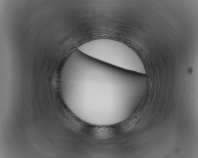 X0000091450181200708161054