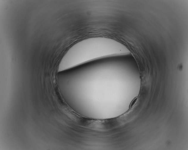 X0000091450182200708161054
