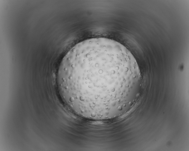 X0000091450183200708161054