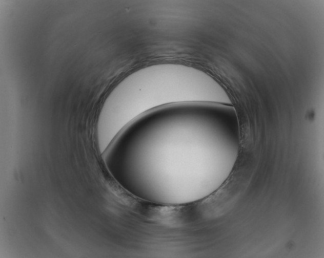 X0000091450184200708161054
