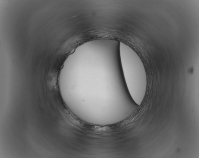 X0000091450185200708161054