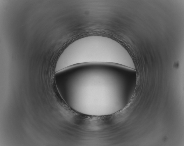 X0000091450186200708161054