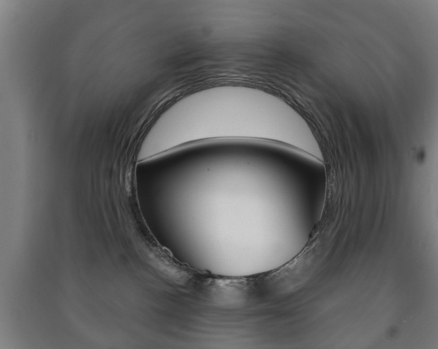 X0000091450188200708161054