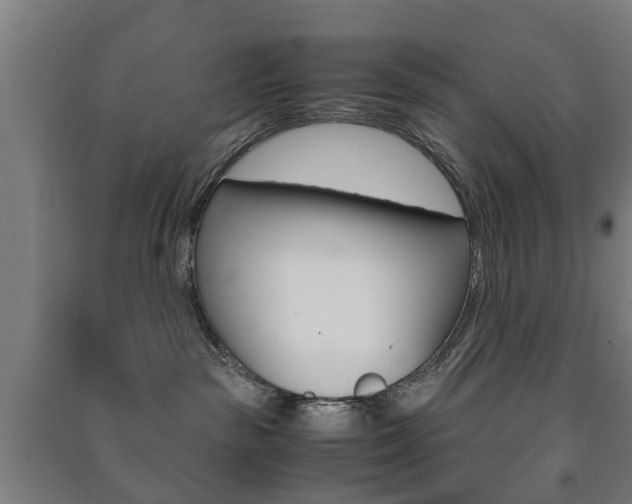 X0000091450189200708161054