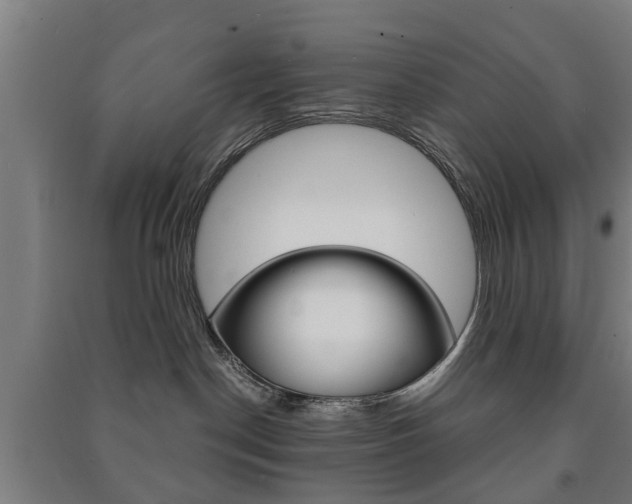 X0000091450190200708161054