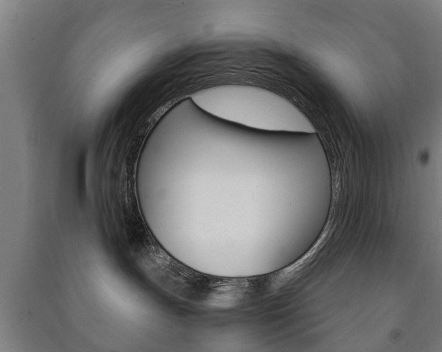 X0000091450191200708161054