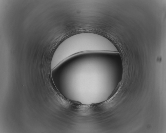 X0000091450192200708161054