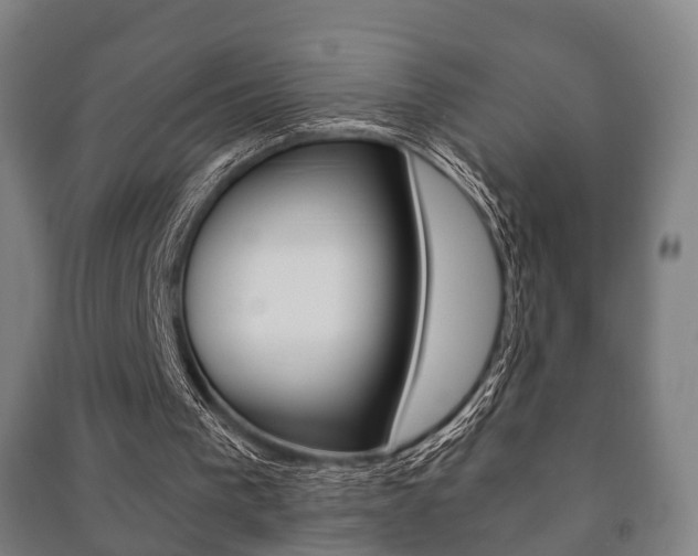 X0000091450193200708161054