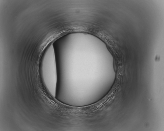 X0000091450194200708161054