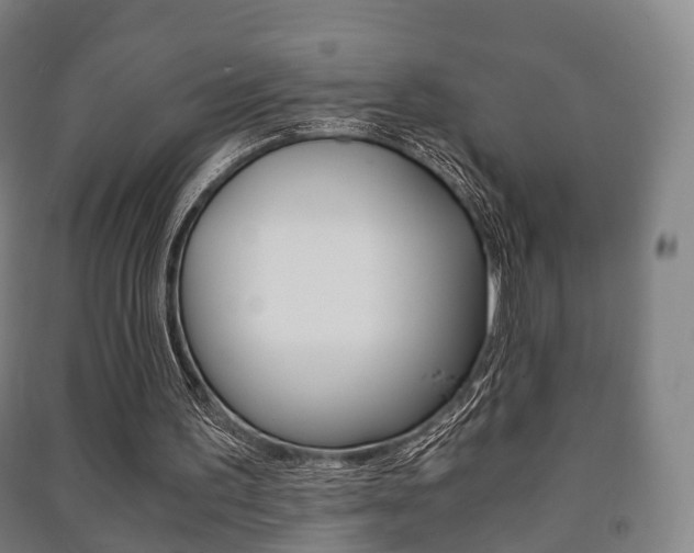 X0000091450195200708161054