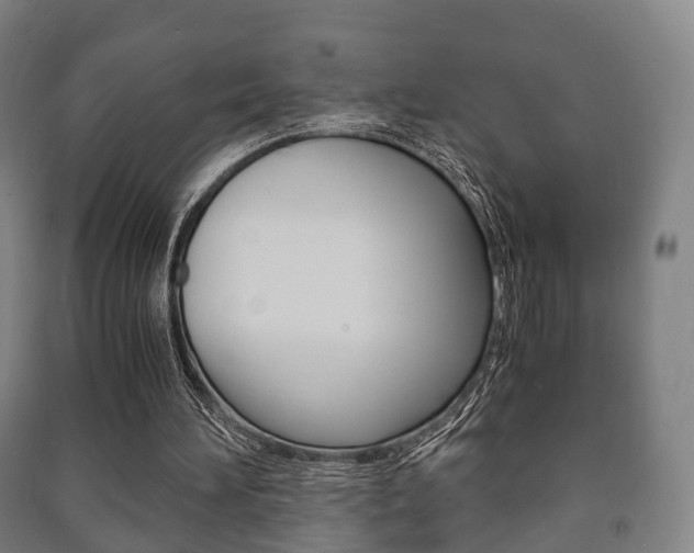 X0000091450196200708161054
