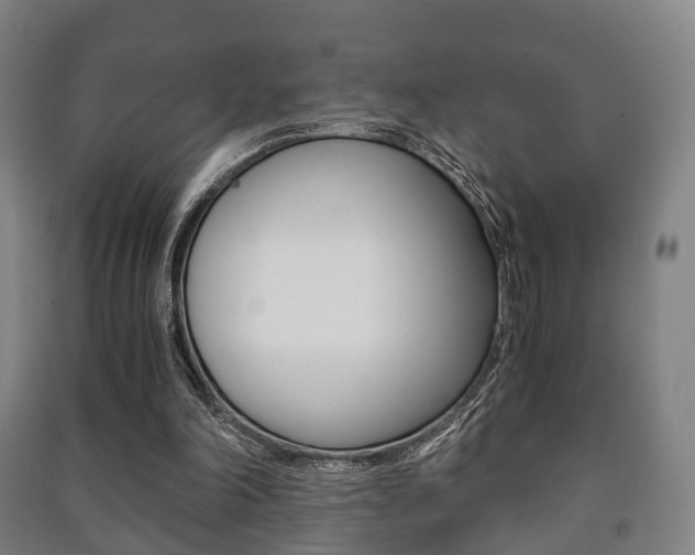 X0000091450198200708161054