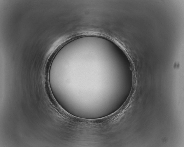 X0000091450199200708161054