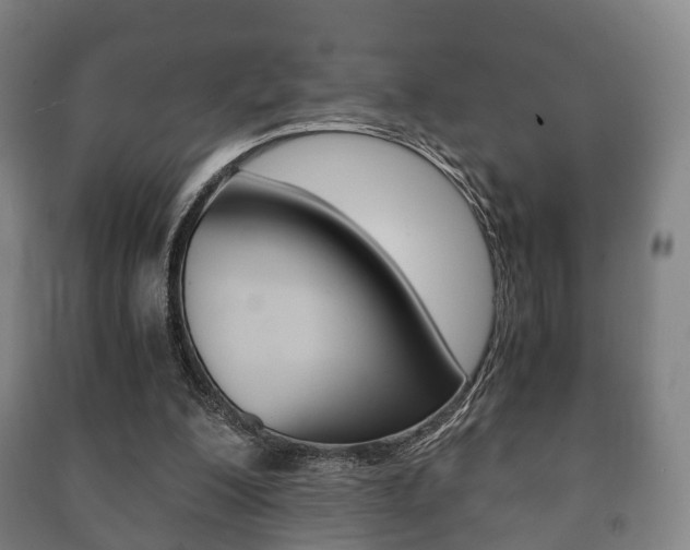 X0000091450200200708161054