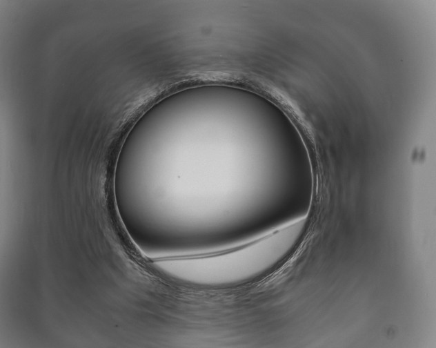 X0000091450201200708161054