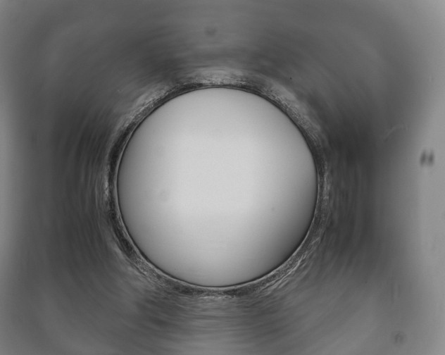 X0000091450202200708161054