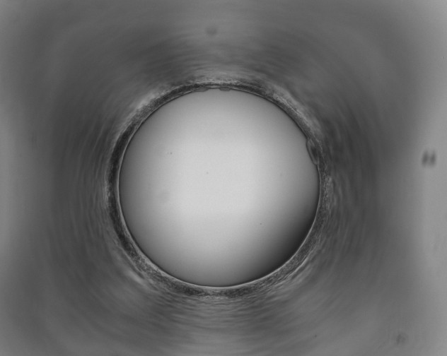 X0000091450203200708161054