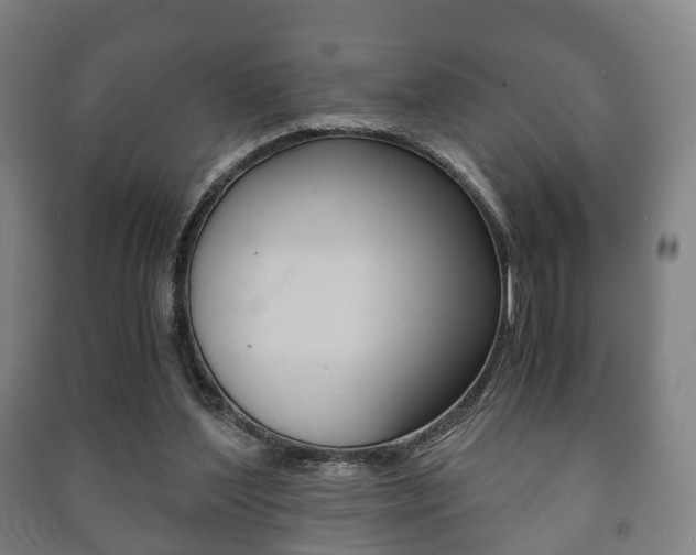 X0000091450204200708161054