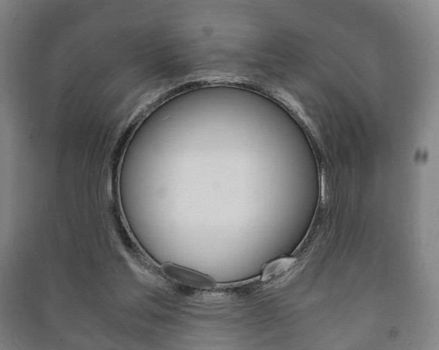X0000091450205200708161054