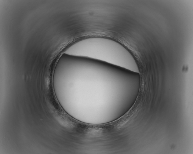 X0000091450206200708161054
