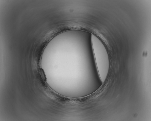 X0000091450209200708161054