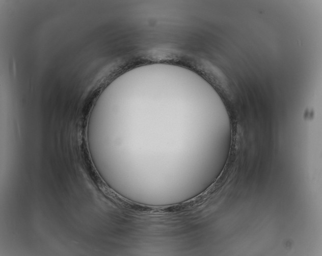 X0000091450210200708161054