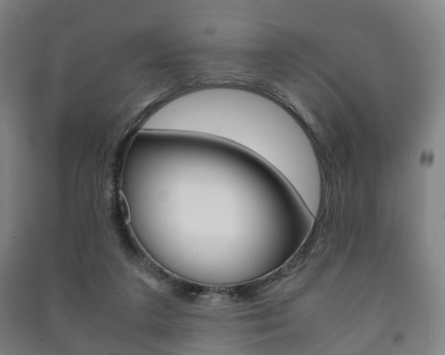 X0000091450211200708161054