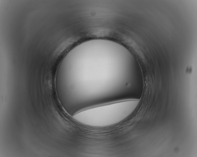 X0000091450212200708161054