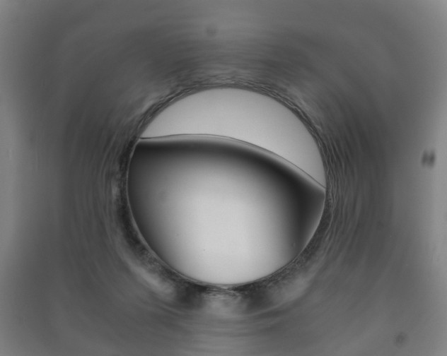X0000091450215200708161054